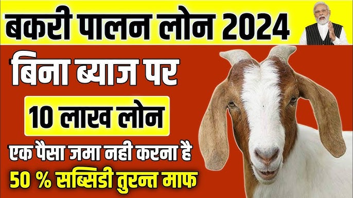 Bakri Palan Loan Apply