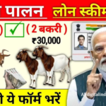 Bakri Palan Loan Yojana 2026