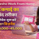 Meesho Work From Home 2026