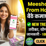 Meesho Work From Home 2026